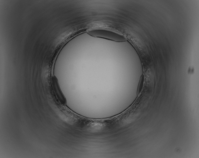 X0000089420352200707131827