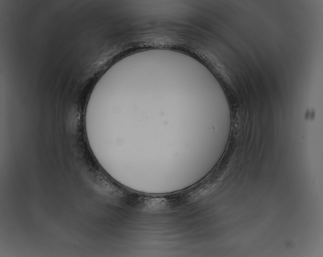 X0000089420355200707131827