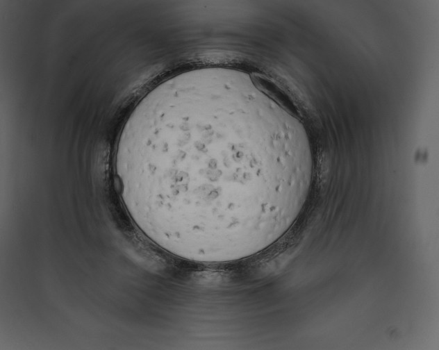 X0000089420356200707131827