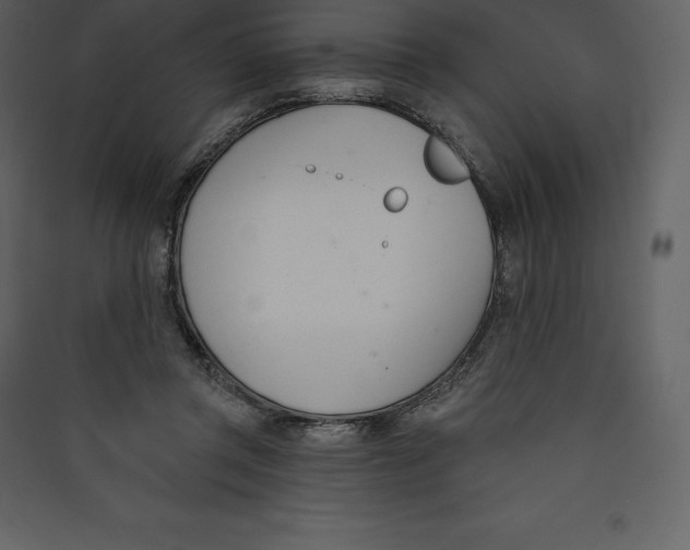 X0000089420357200707131827