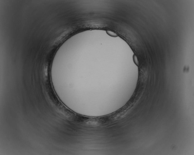 X0000089420358200707131827