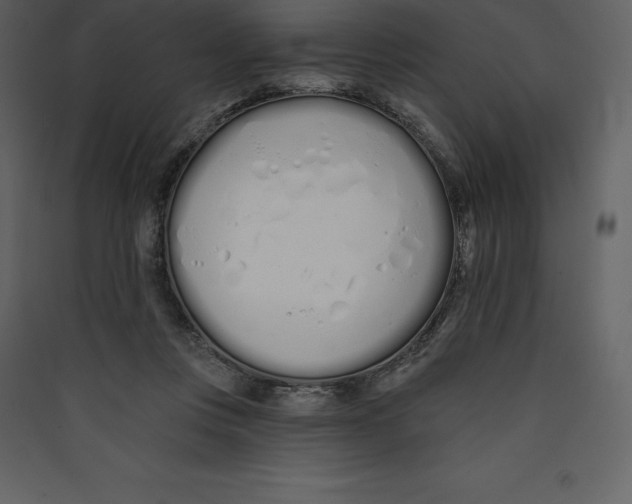 X0000089420359200707131827