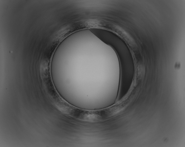X0000089420360200707131827