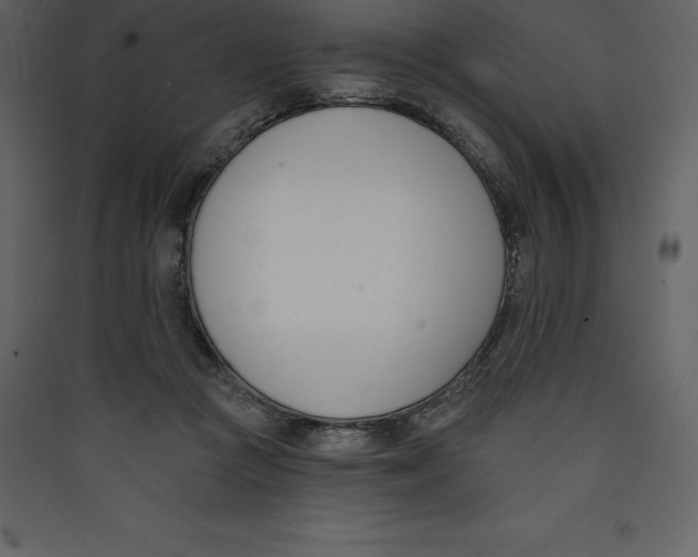 X0000089420361200707131827