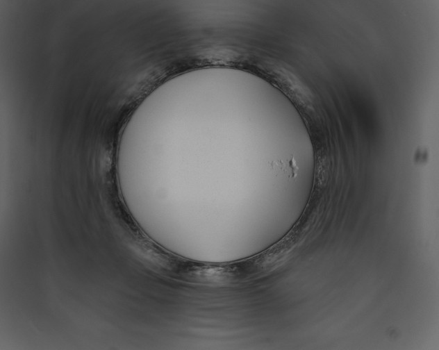 X0000089420365200707131827