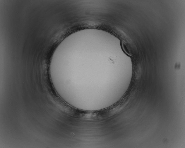 X0000089420366200707131827