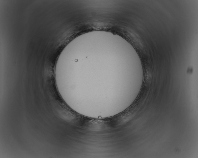 X0000089420367200707131827