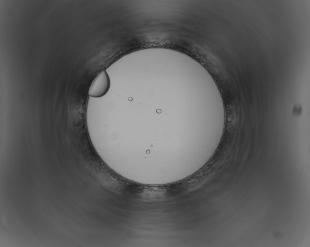 X0000089420369200707131827