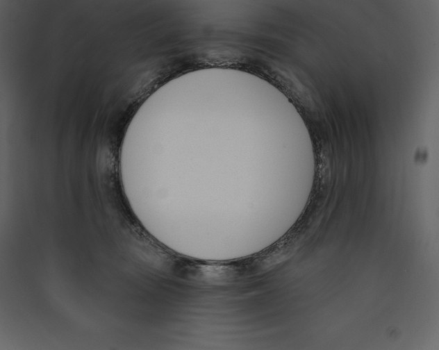 X0000089420371200707131827