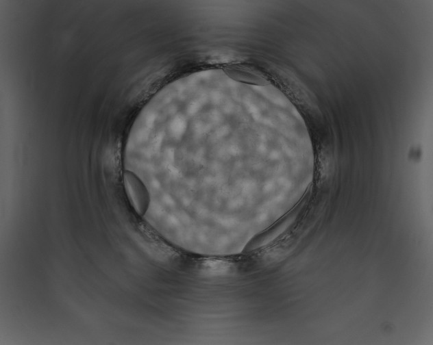 X0000089420376200707131827