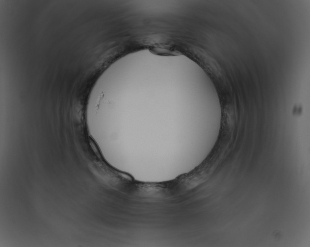 X0000089420380200707131827