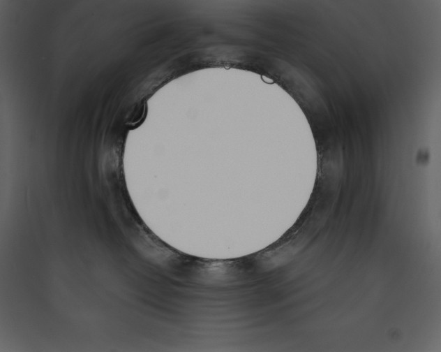X0000089420382200707131827