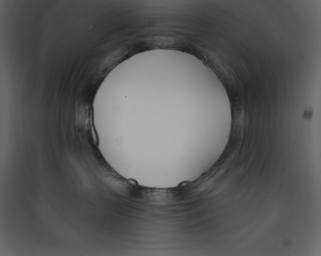 X0000089420383200707131827