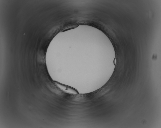 X0000089420384200707131827