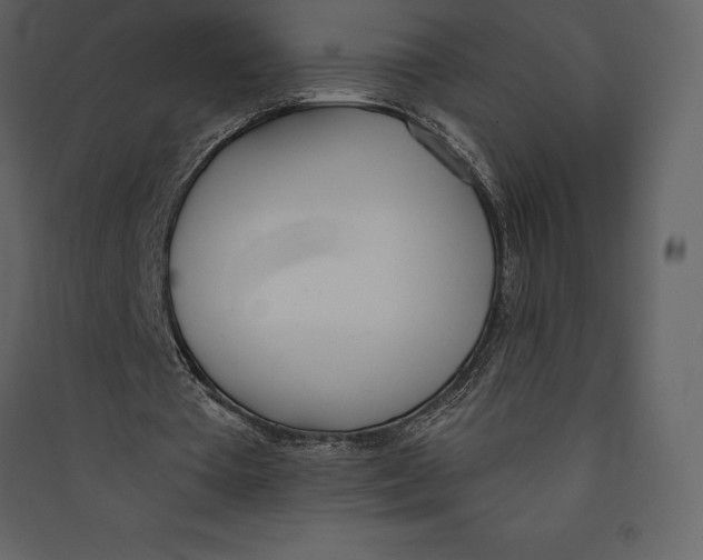 X0000089420385200707131827