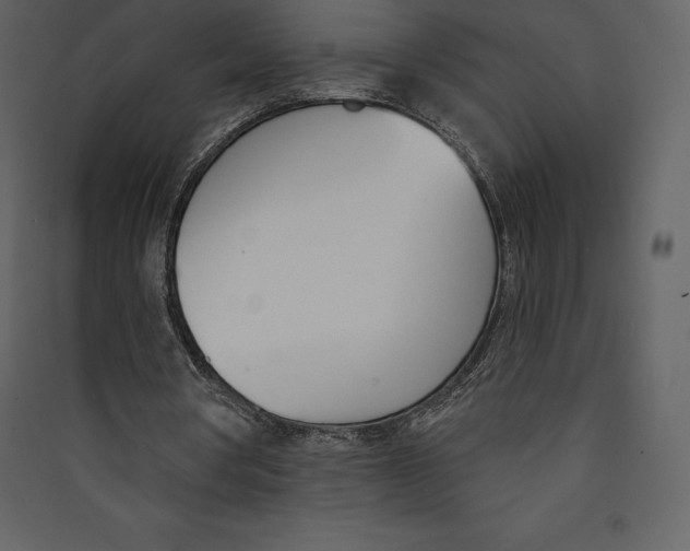 X0000089420386200707131827