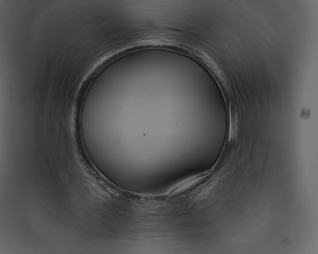 X0000089420387200707131827