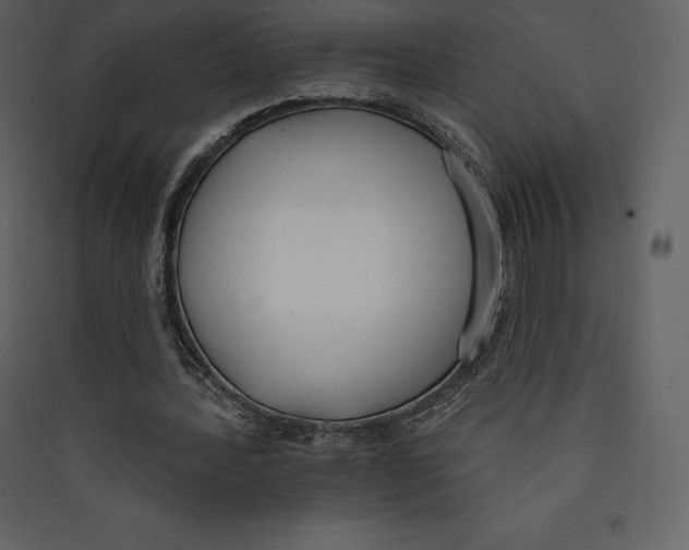 X0000089420388200707131827