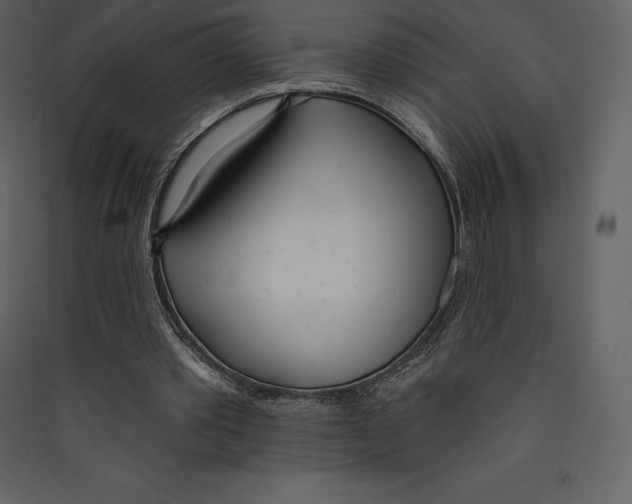 X0000089420389200707131827