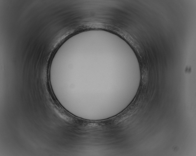 X0000089420390200707131827