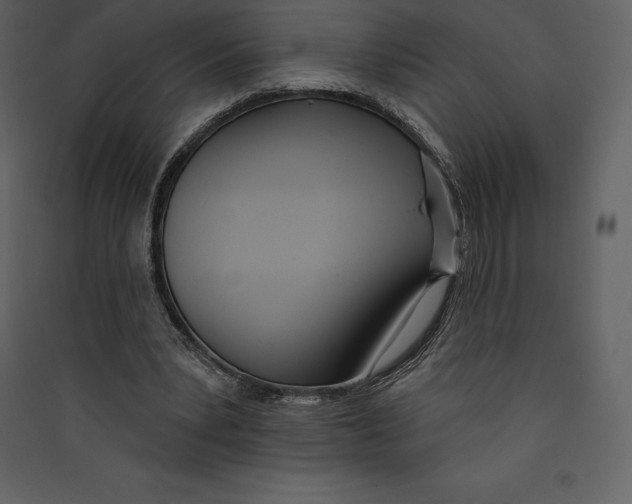 X0000089420391200707131827