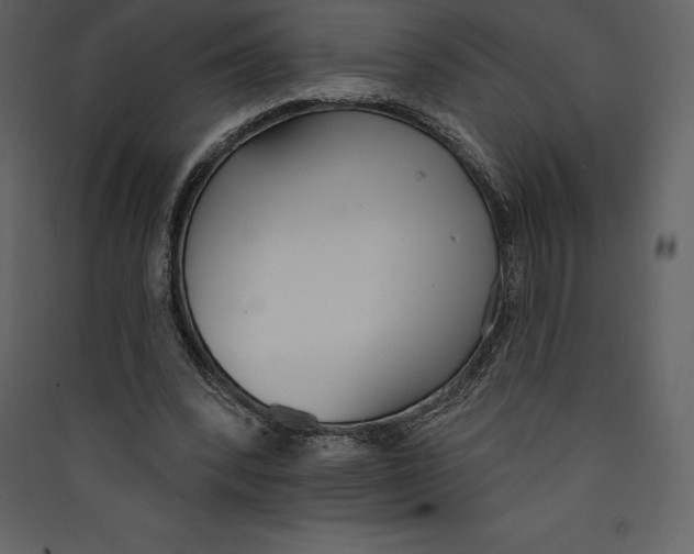 X0000089420392200707131827