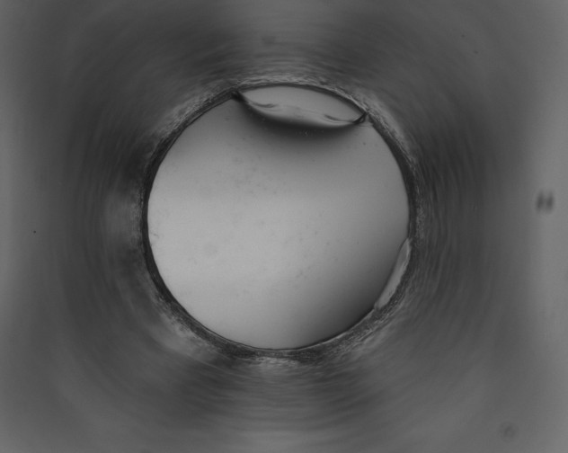 X0000089420393200707131827