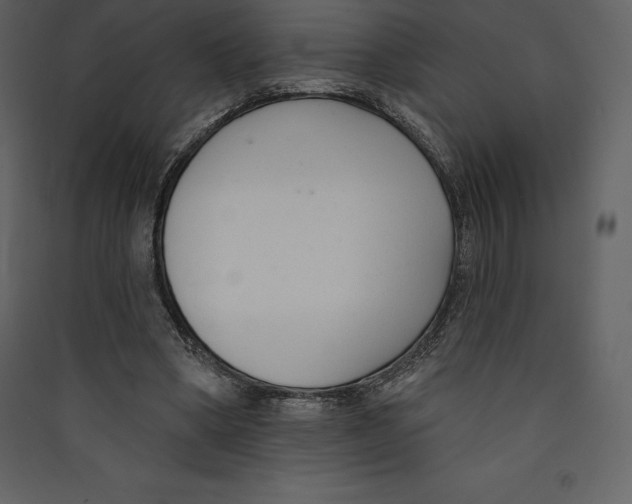 X0000089420394200707131827