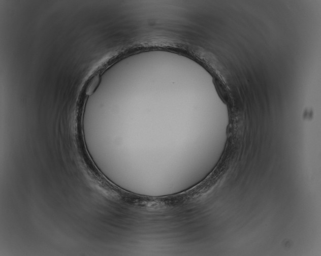 X0000089420395200707131827