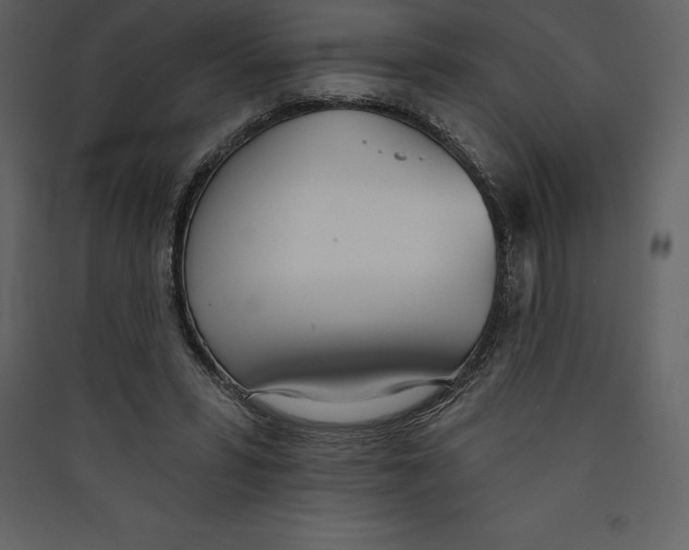 X0000089420399200707131827