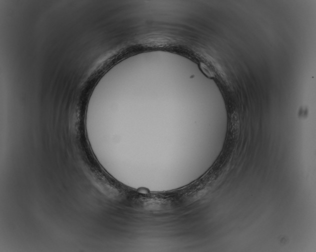 X0000089420400200707131827