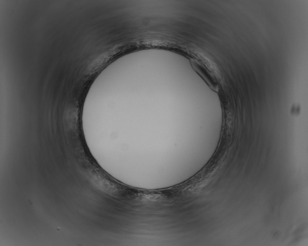 X0000089420401200707131827