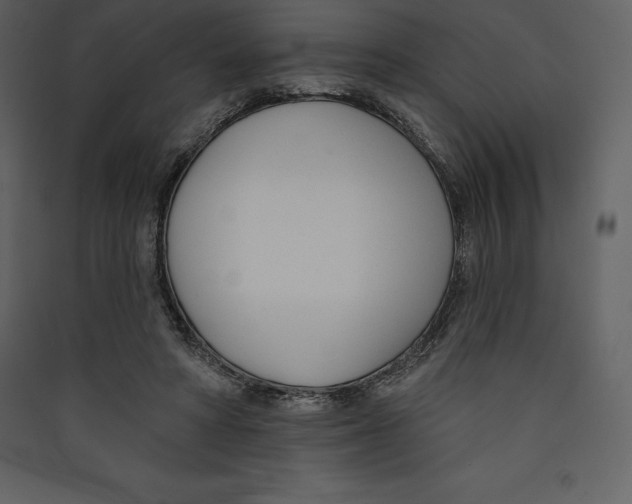 X0000089420402200707131827