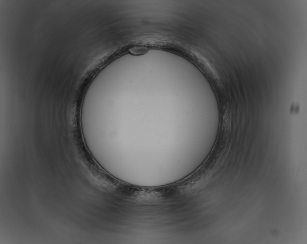 X0000089420403200707131827