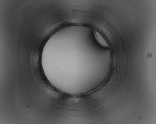 X0000089420404200707131827
