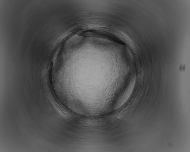 X0000089420405200707131827