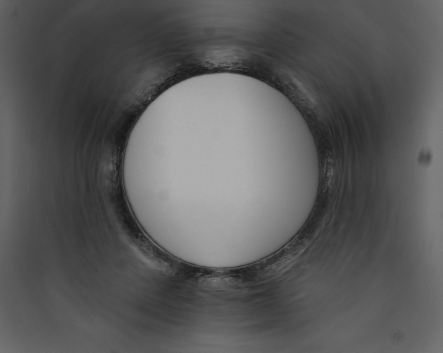 X0000089420408200707131827