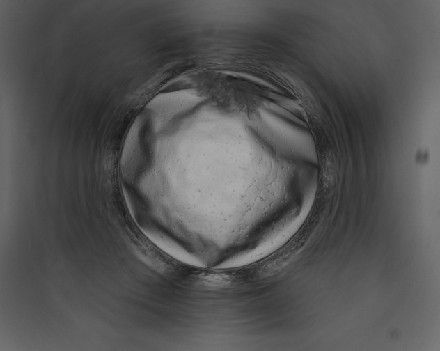 X0000089420409200707131826