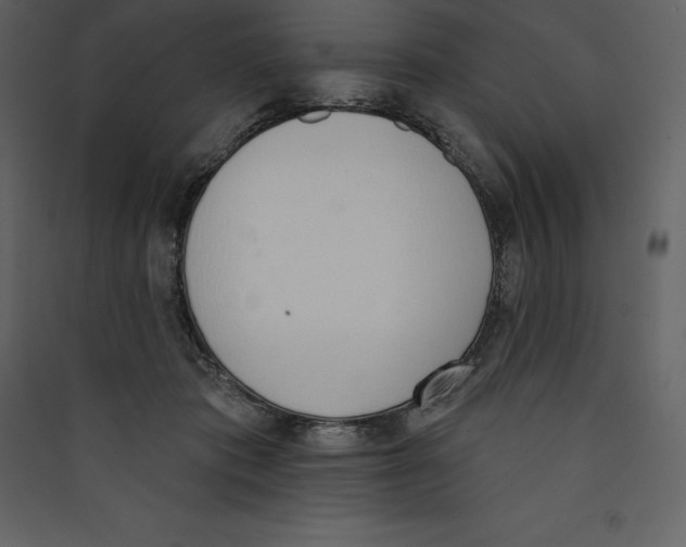 X0000089420413200707131826