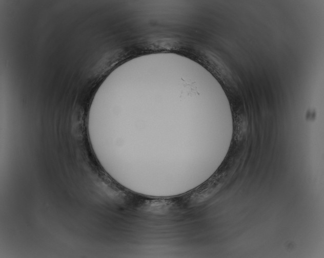 X0000089420414200707131826