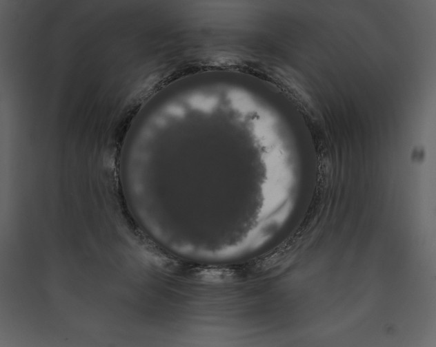 X0000089420415200707131826