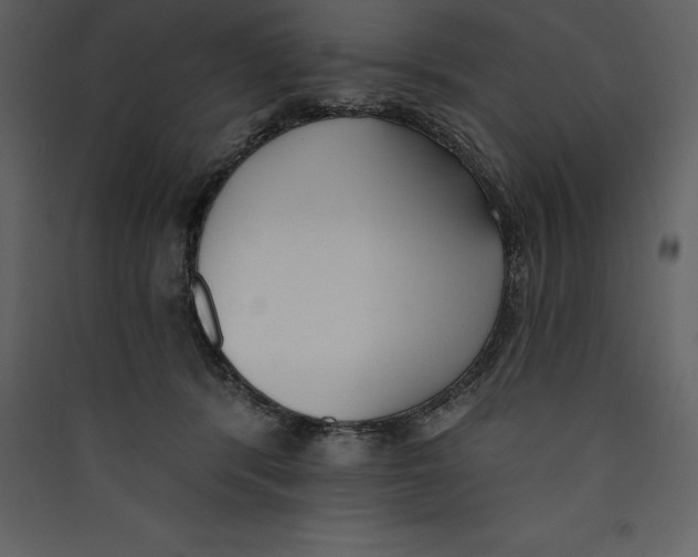 X0000089420416200707131826