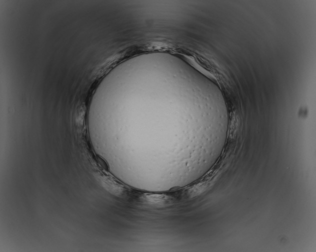 X0000089420417200707131826