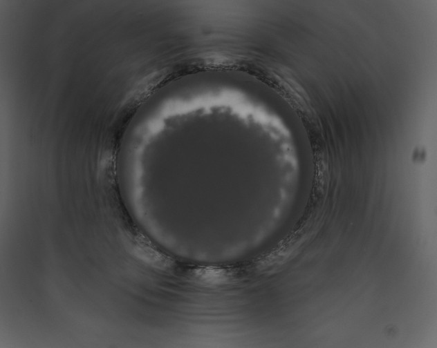 X0000089420419200707131826