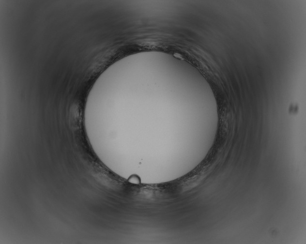 X0000089420420200707131826
