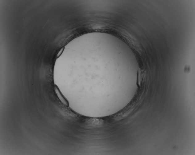 X0000089420421200707131826