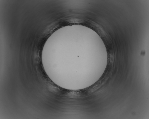 X0000089420422200707131826