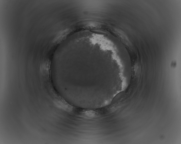 X0000089420423200707131826