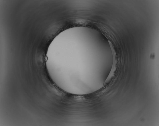 X0000089420424200707131826