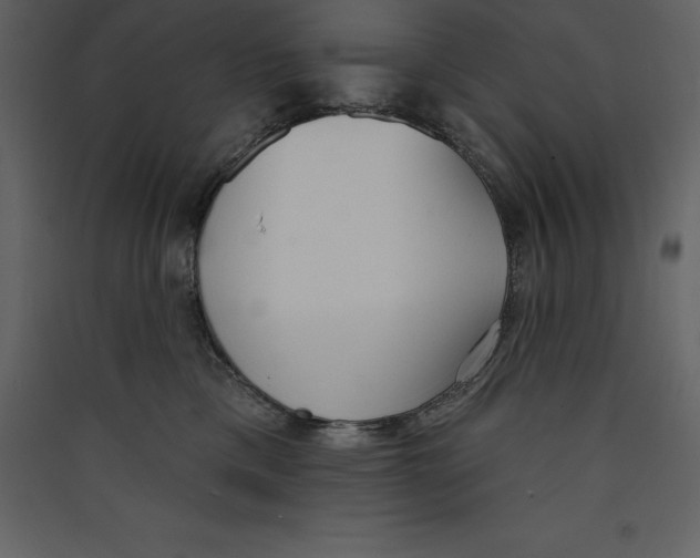 X0000089420425200707131826
